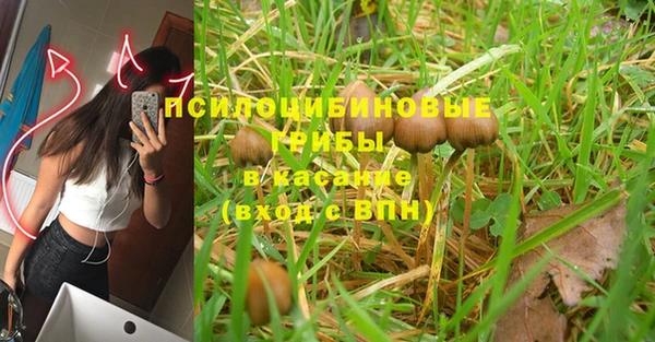 прущий лед Алексин